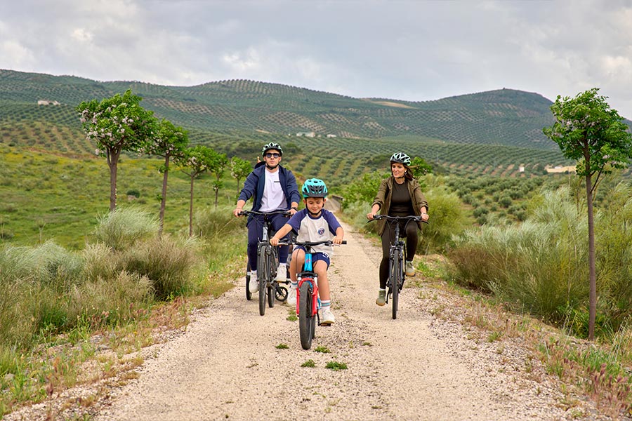 Experiencias Familiares