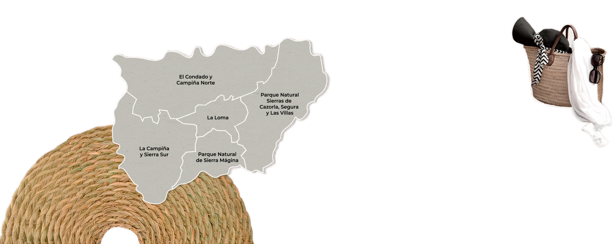 Oleomapa Fondo