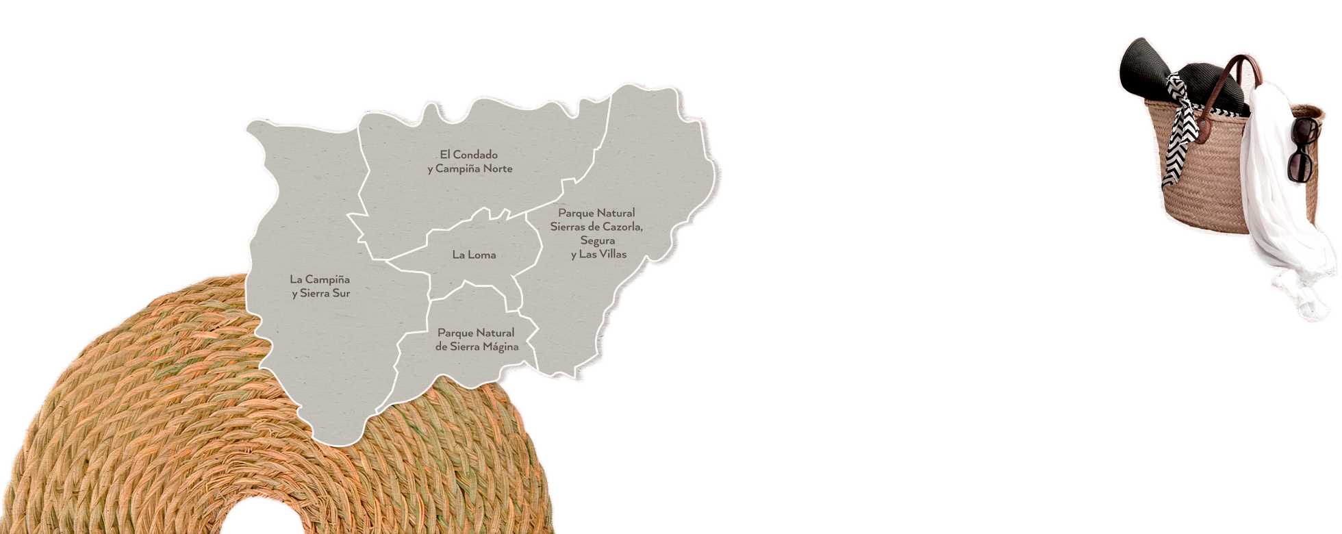 Oleomapa Fondo
