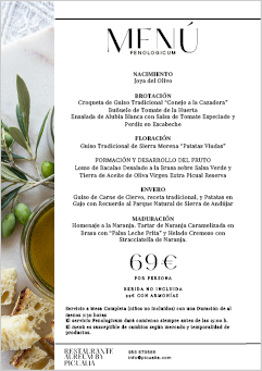 Menú 04