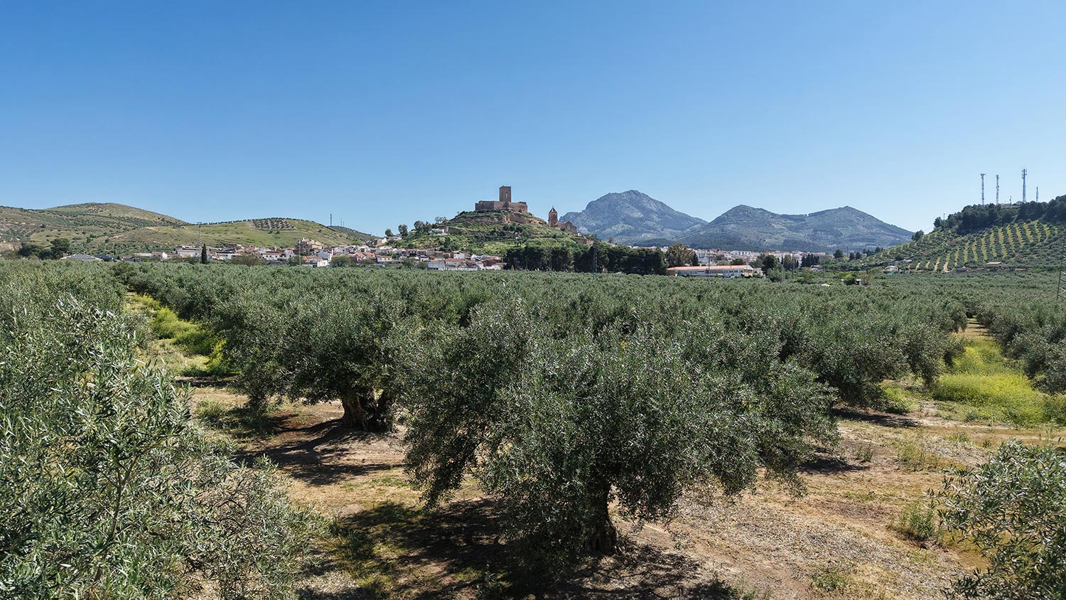 Paisaje con Ferrocarril