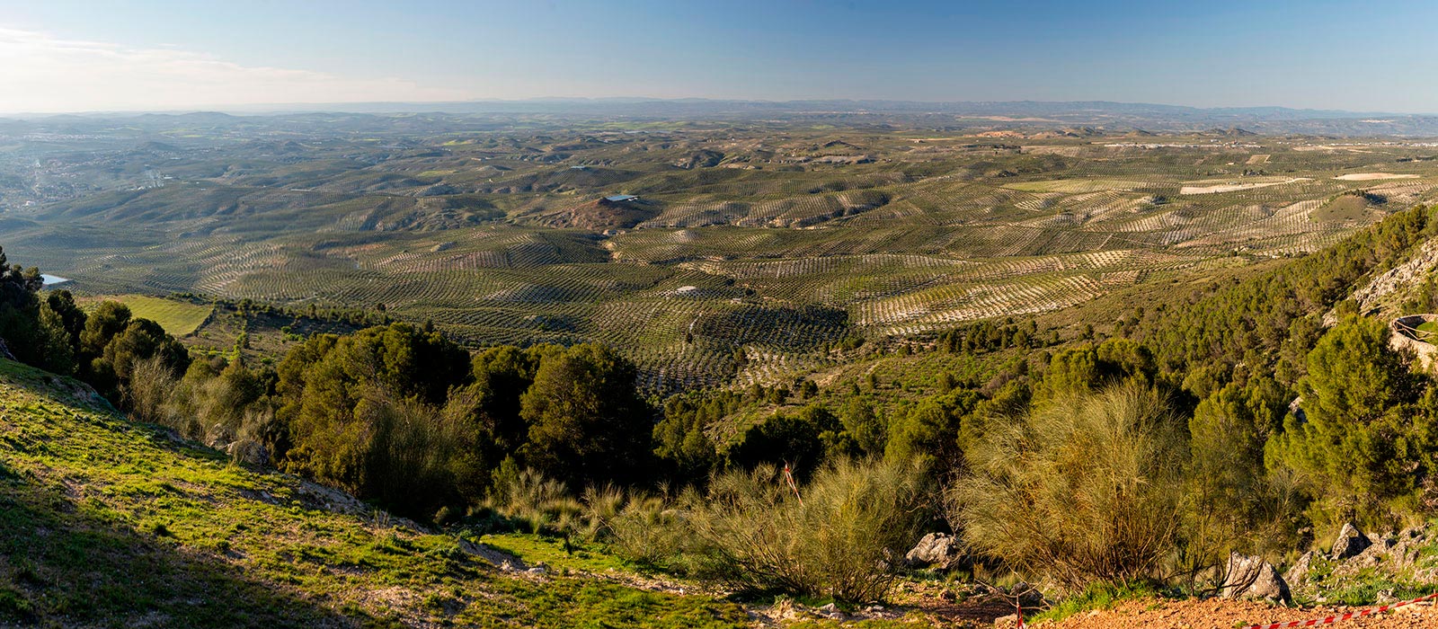 Mirador