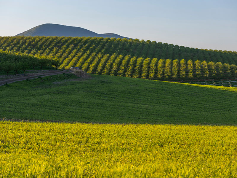 La Loma